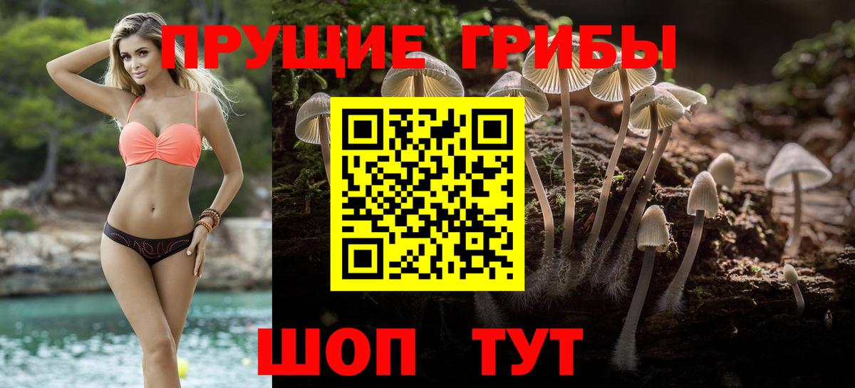 Галлюциногенные грибы Psilocybine cubensis  Вход с VPN  где купить наркотик  Ирбит 